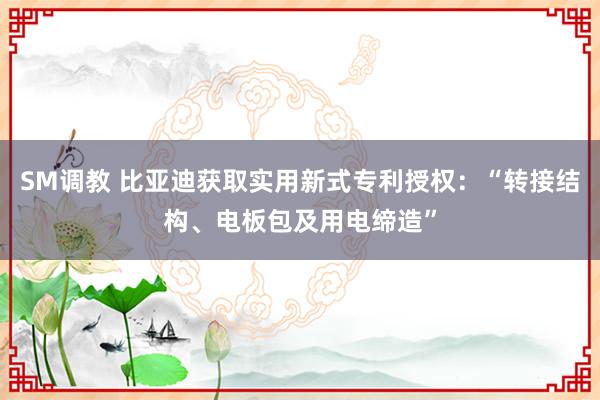 SM调教 比亚迪获取实用新式专利授权：“转接结构、电板包及用电缔造”