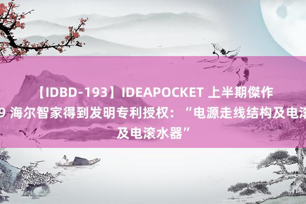 【IDBD-193】IDEAPOCKET 上半期傑作集2009 海尔智家得到发明专利授权：“电源走线结构及电滚水器”