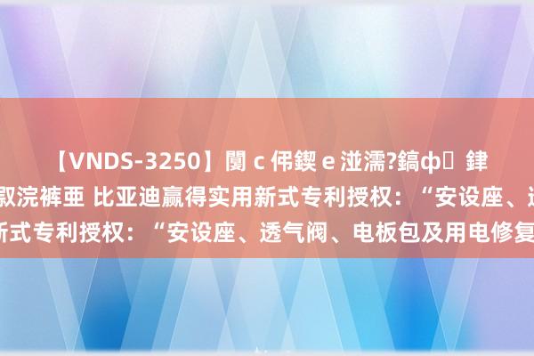 【VNDS-3250】闅ｃ伄鍥ｅ湴濡?鎬ф銉犮儵銉犮儵 娣倝銇叞浣裤亜 比亚迪赢得实用新式专利授权：“安设座、透气阀、电板包及用电修复”