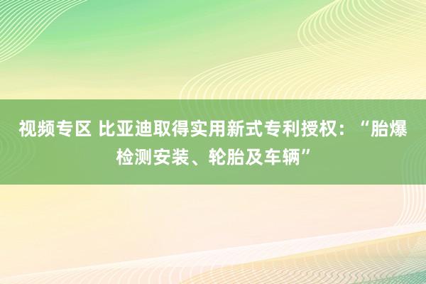 视频专区 比亚迪取得实用新式专利授权：“胎爆检测安装、轮胎及车辆”