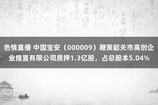 色情直播 中国宝安（000009）鞭策韶关市高创企业措置有限公司质押1.3亿股，占总股本5.04%