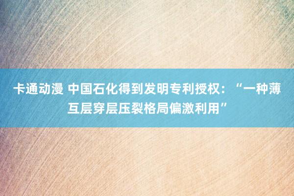 卡通动漫 中国石化得到发明专利授权：“一种薄互层穿层压裂格局偏激利用”