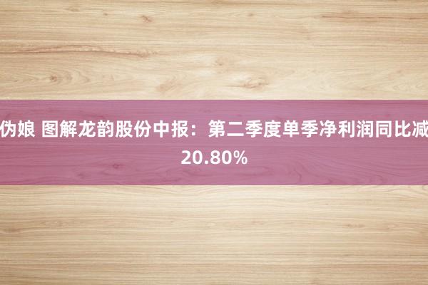 伪娘 图解龙韵股份中报：第二季度单季净利润同比减20.80%