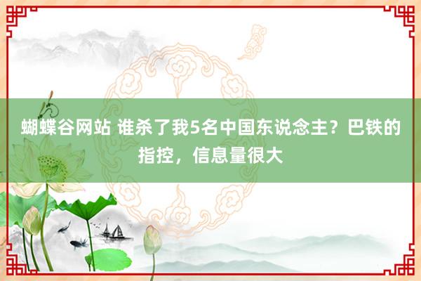 蝴蝶谷网站 谁杀了我5名中国东说念主？巴铁的指控，信息量很大