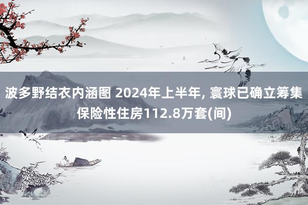 波多野结衣内涵图 2024年上半年, 寰球已确立筹集保险性住房112.8万套(间)