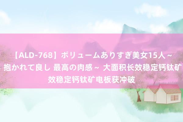 【ALD-768】ボリュームありすぎ美女15人～抱いて良し 抱かれて良し 最高の肉感～ 大面积长效稳定钙钛矿电板获冲破