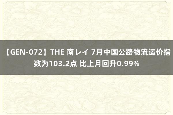 【GEN-072】THE 南レイ 7月中国公路物流运价指数为103.2点 比上月回升0.99%