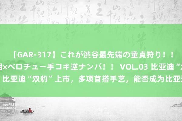 【GAR-317】これが渋谷最先端の童貞狩り！！ 超ド派手ギャル5人組×ベロチュー手コキ逆ナンパ！！ VOL.03 比亚迪“双豹”上市，多项首搭手艺，能否成为比亚迪“新爆点”？