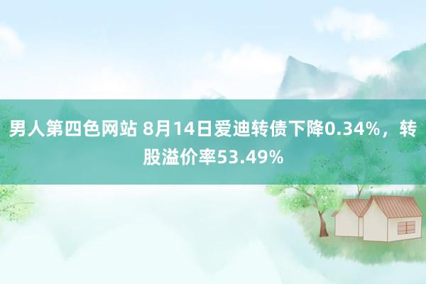 男人第四色网站 8月14日爱迪转债下降0.34%，转股溢价率53.49%