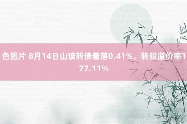 色图片 8月14日山玻转债着落0.41%，转股溢价率177.11%