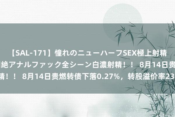 【SAL-171】憧れのニューハーフSEX極上射精タイム イキまくり快感悶絶アナルファック全シーン白濃射精！！ 8月14日贵燃转债下落0.27%，转股溢价率23.55%