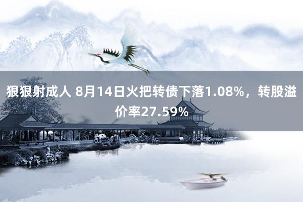 狠狠射成人 8月14日火把转债下落1.08%，转股溢价率27.59%