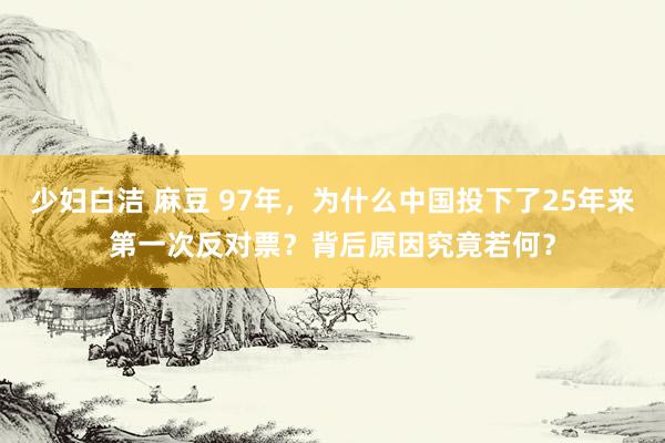 少妇白洁 麻豆 97年，为什么中国投下了25年来第一次反对票？背后原因究竟若何？