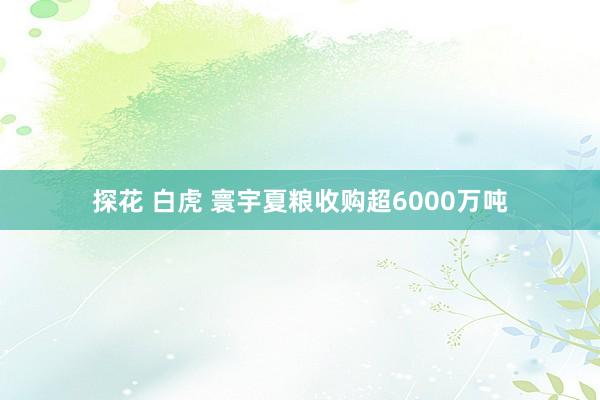 探花 白虎 寰宇夏粮收购超6000万吨