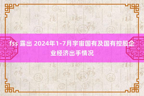 fss 露出 2024年1-7月宇宙国有及国有控股企业经济出手情况