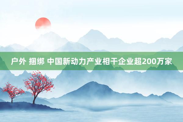 户外 捆绑 中国新动力产业相干企业超200万家