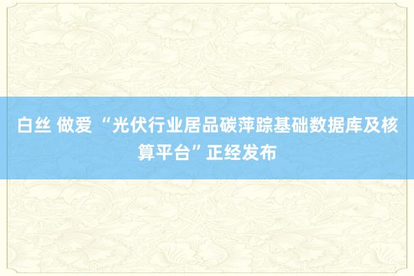 白丝 做爱 “光伏行业居品碳萍踪基础数据库及核算平台”正经发布