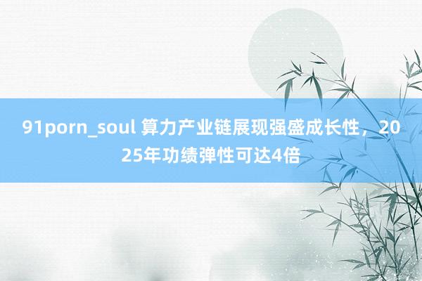 91porn_soul 算力产业链展现强盛成长性，2025年功绩弹性可达4倍