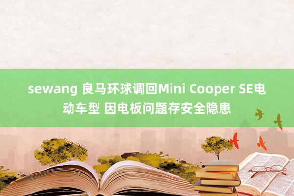 sewang 良马环球调回Mini Cooper SE电动车型 因电板问题存安全隐患