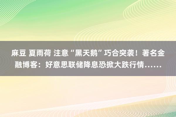 麻豆 夏雨荷 注意“黑天鹅”巧合突袭！著名金融博客：好意思联储降息恐掀大跌行情……