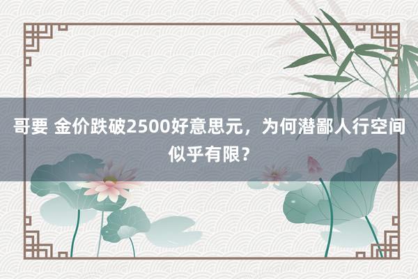 哥要 金价跌破2500好意思元，为何潜鄙人行空间似乎有限？