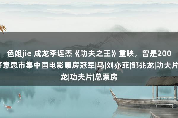 色姐jie 成龙李连杰《功夫之王》重映，曾是2008年北好意思市集中国电影票房冠军|马|刘亦菲|邹兆龙|功夫片|总票房