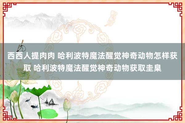 西西人提肉肉 哈利波特魔法醒觉神奇动物怎样获取 哈利波特魔法醒觉神奇动物获取圭臬