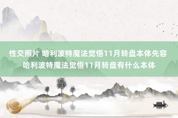 性交照片 哈利波特魔法觉悟11月转盘本体先容 哈利波特魔法觉悟11月转盘有什么本体