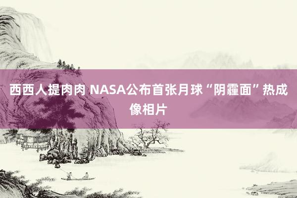 西西人提肉肉 NASA公布首张月球“阴霾面”热成像相片