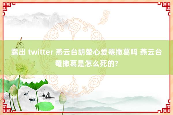 露出 twitter 燕云台胡辇心爱罨撒葛吗 燕云台罨撒葛是怎么死的?