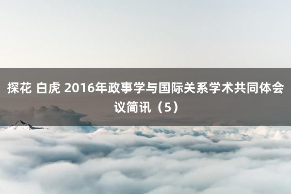 探花 白虎 2016年政事学与国际关系学术共同体会议简讯（5）