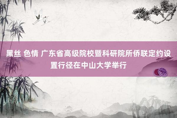 黑丝 色情 广东省高级院校暨科研院所侨联定约设置行径在中山大学举行